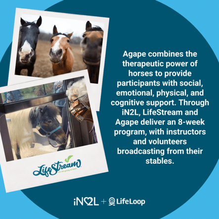 Agape combines the therapeutic power of horses to provide participants with social, emotional, physical and cognitive support