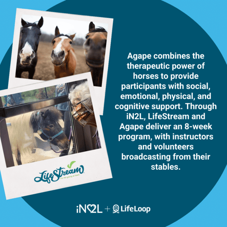 Agape combines the therapeutic power of horses to provide participants with social, emotional, physical and cognitive support