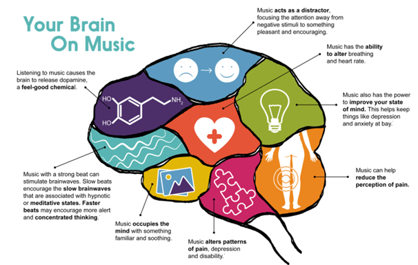 Your BRAIN on music